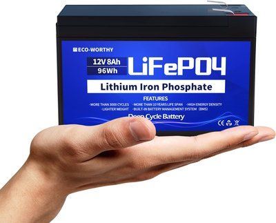 Акумуляторна батарея ECO-WORTHY LiFePO4 12V 8Ah (96Wh), 3000+ циклів 000573 фото
