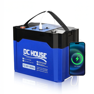 Акумулятор універсальний DC HOUSE LiFePO4 12V 50Ah (640Wh) з портами DC і USB Type-C 45W і вбудованою BMS, 4000+ життєвих циклів 001257 фото